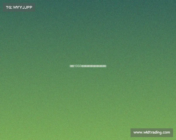 罗马以1050万欧签下维罗纳后卫吉拉尔迪加强防线