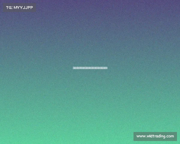 西甲边锋速度排行榜：谁是赛场上最快的风暴与飞翼