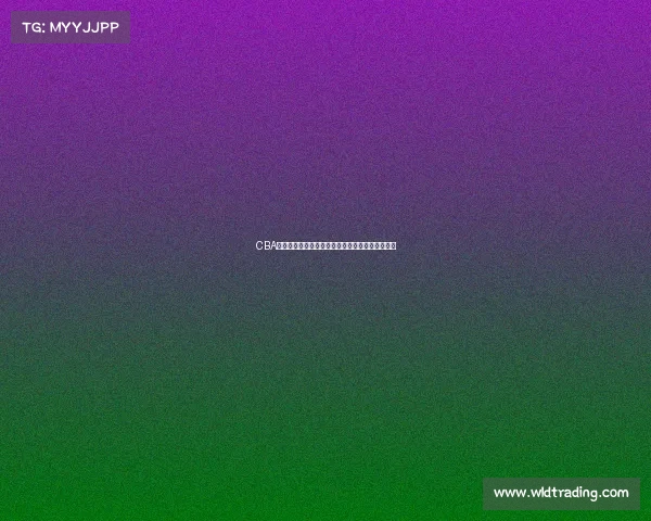 CBA海外联赛新风潮球员发展与国际化进程的深度解析